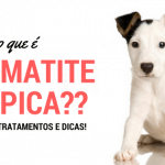 dermatite atópica em cães