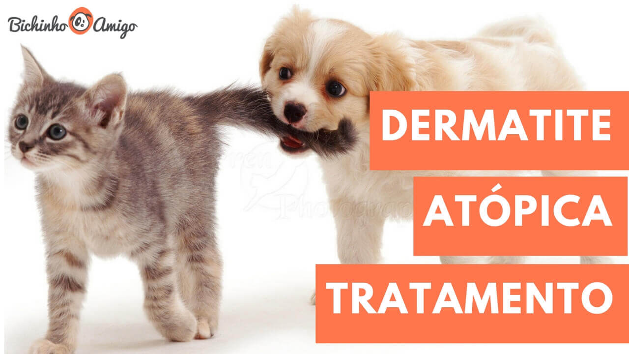 tratamento dermatite atópica em cães e gatos (