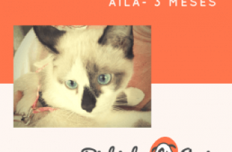 Aila – 3 meses