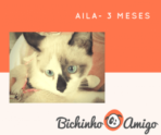 Aila – 3 meses