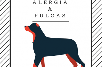 Alergia a pulgas em cães e gatos [causas + sintomas + diagnóstico + tratamento + prevenção]
