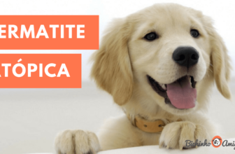 #vídeo1: Descubra tudo sobre Dermatite Atópica e Coceira em Cães e Gatos
