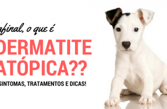 Saiba tudo sobre Dermatite Atópica Canina