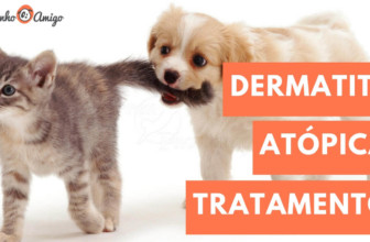 Dermatite Atópica em Cães e Gatos [Principais Tratamentos]